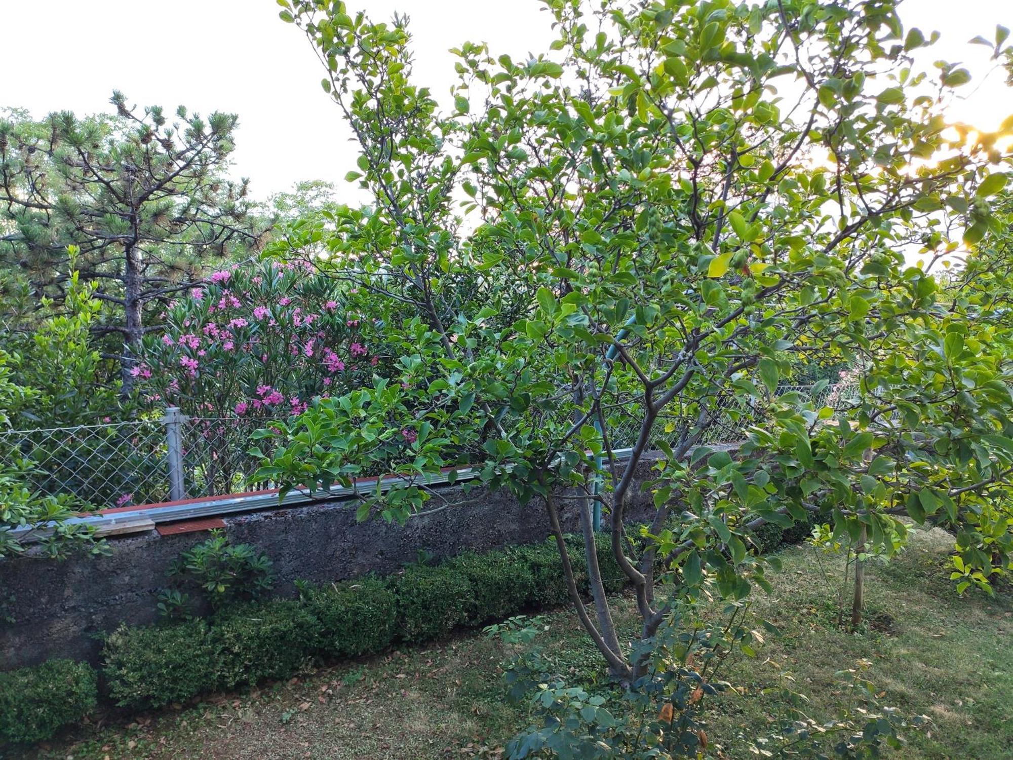 Apartment With Private Garden And The Terrace Ev Station Available Crikvenica Eksteriør billede